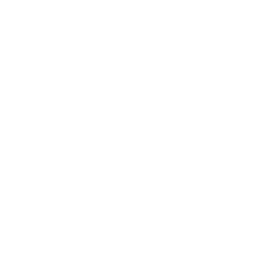M00ve 2004 Experience